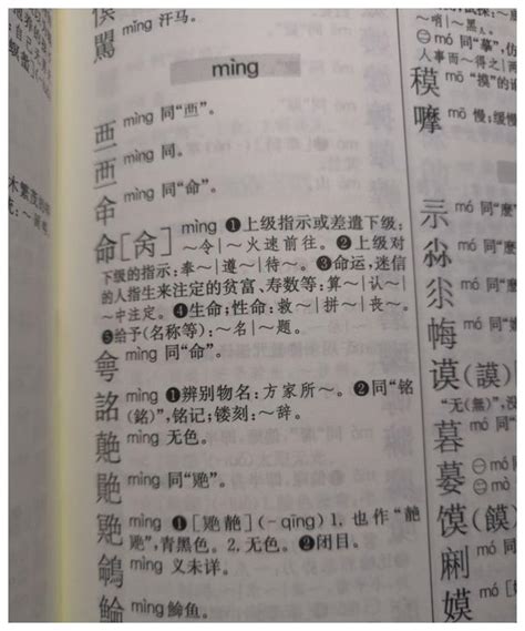 命 同音字|命（汉语文字）